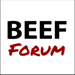 Beef-Forum.de
